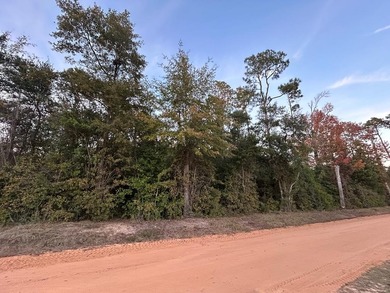 Lake Lot For Sale in Donalsonville, Georgia
