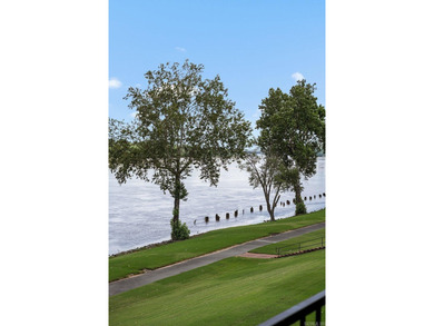 Amazing Riverbend condo custom designed by the renowned Noland - photo 48