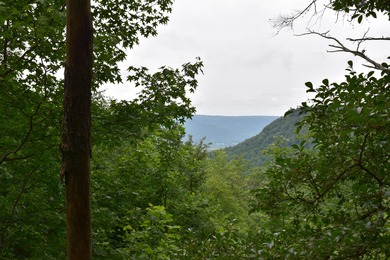 (private lake, pond, creek) Lot For Sale in Jasper Tennessee