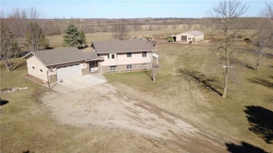 Lake Home For Sale in Royalton, Minnesota