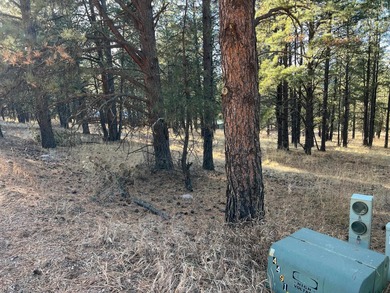 Monte Verde Lake Lot For Sale in Angel Fire New Mexico