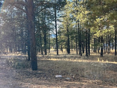 Excellent lot with mature pine trees 1 mile from the Chili - photo 2