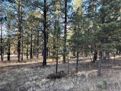 Excellent lot with mature pine trees 1 mile from the Chili - photo 3