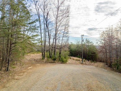 Rare opportunity! 4.90 acres of pristine wooded bliss with lake - photo 12