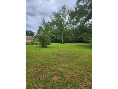 Lake Seminole Lot For Sale in Donalsonville Georgia