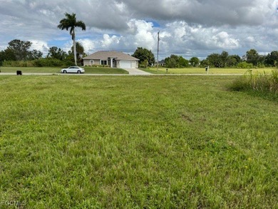 This lot is just waiting for your dream home. This is an area - photo 4