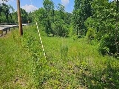 Lake Acreage For Sale in Salt Lick, Kentucky