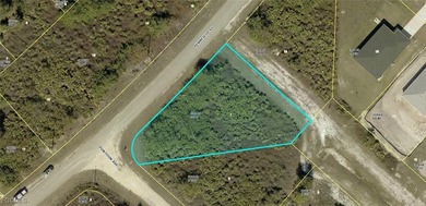 Lehigh Acres Area Lot For Sale in Lehigh Acres Florida