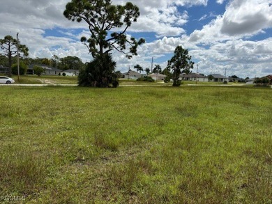 This lot is just waiting for your dream home. This is an area - photo 3