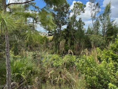 This lot is just waiting for your dream home. This is an area - photo 4