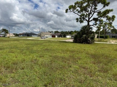 This lot is just waiting for your dream home. This is an area - photo 5