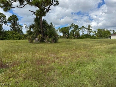 This lot is just waiting for your dream home. This is an area - photo 6