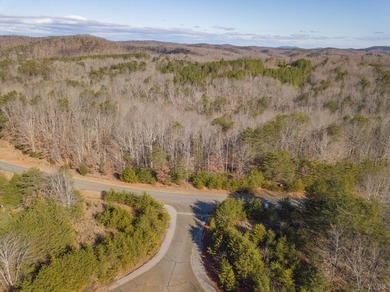Welcome to your dream home's future address! This 0.97-acre lot - photo 13