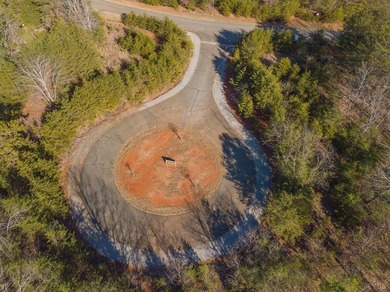 Welcome to your dream home's future address! This 0.97-acre lot - photo 14