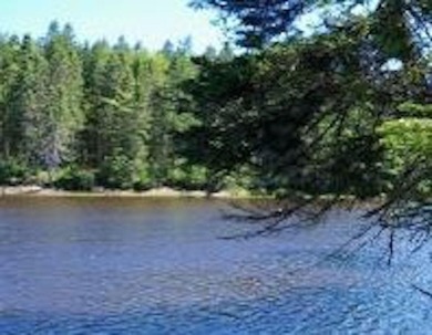 Lake Lot For Sale in Country Harbour,