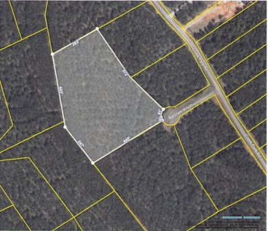 Strom Thurmond / Clarks Hill Lake Lot For Sale in Lincolnton Georgia