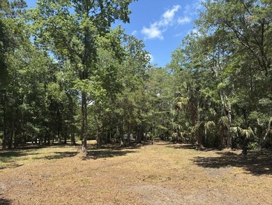 Beautiful 3.17 acre lot - private, wooded, and backs to tidal - photo 2