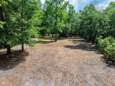 Beautiful 3.17 acre lot - private, wooded, and backs to tidal - photo 4