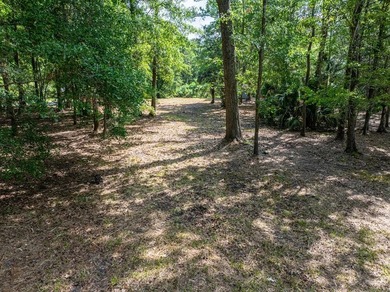 Beautiful 3.17 acre lot - private, wooded, and backs to tidal - photo 5