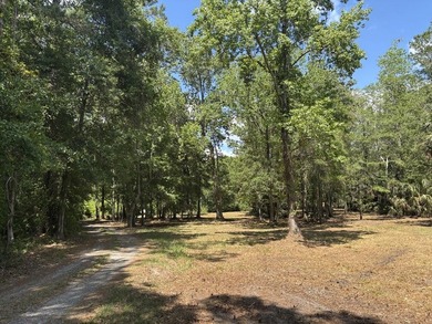 Beautiful 3.17 acre lot - private, wooded, and backs to tidal - photo 6