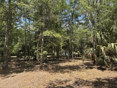 Beautiful 3.17 acre lot - private, wooded, and backs to tidal - photo 9