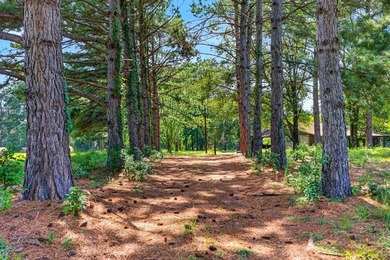 Escape to the peace and privacy of country living with this - photo 2