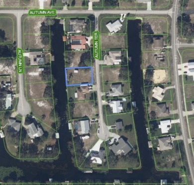 Lake Grassy Lot For Sale in Lake Placid Florida