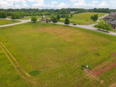 (private lake, pond, coastal) Commercial For Sale in Nixa Missouri