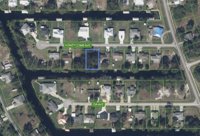 Lake Grassy Lot For Sale in Lake Placid Florida