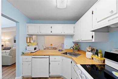 You will not want to miss this incredible deal in the 55+ - photo 11