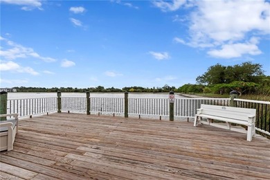 You will not want to miss this incredible deal in the 55+ - photo 38