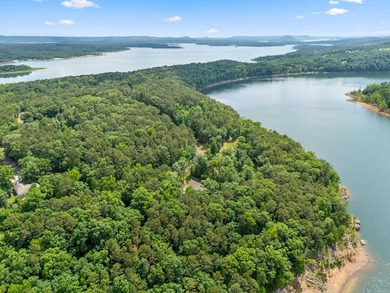 Lakefront living at its finest on Greers Ferry Lake in the - photo 47