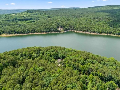 Lakefront living at its finest on Greers Ferry Lake in the - photo 49