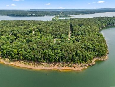 Lakefront living at its finest on Greers Ferry Lake in the - photo 50