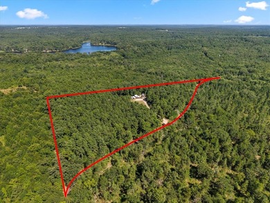 Big Woods Spring Lake Acreage For Sale in Winnsboro Texas