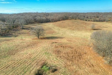 (private lake, pond, coastal) Acreage For Sale in Neosho Missouri