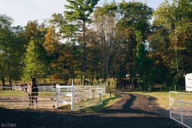 (private lake, pond, coastal) Home For Sale in Montague Twp. New Jersey