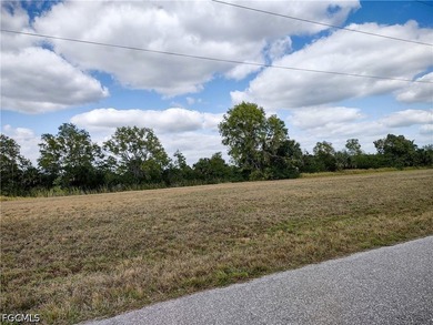 ***SEAWALL ALREADY INSTALLED*** Nice cleared Triple Lot with 120 - photo 5
