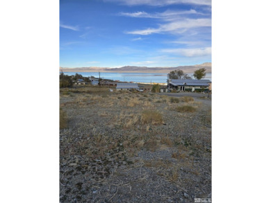 (private lake, pond, creek) Lot For Sale in Walker Lake Nevada