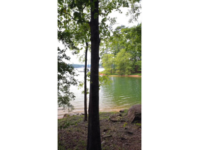 Nearly 3 acres with 400 feet of year-round Smith Lake waterfront - photo 12
