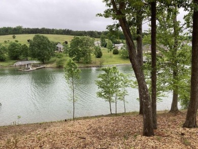 Lake Lot For Sale in Moneta, Virginia