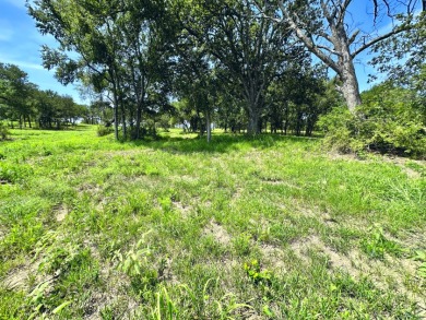 New Lake Subdivision! 1.03 acre Waterfront Lot! - photo 22