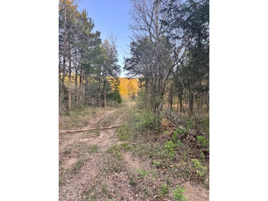 57 Acres with Home for Sale in Tuskahoma, Oklahoma - Creek Front - photo 29