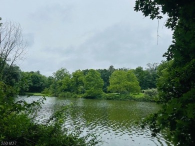 Lake Lot For Sale in Hampton Twp., New Jersey