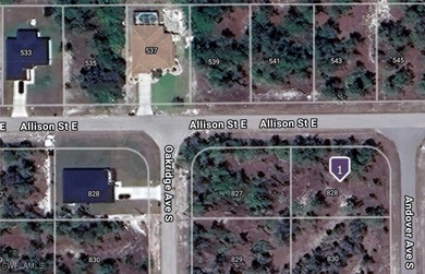 Lehigh Acres Area Lot For Sale in Lehigh Acres Florida