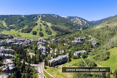 Experience the best of Beaver Creek from this beautifully - photo 1
