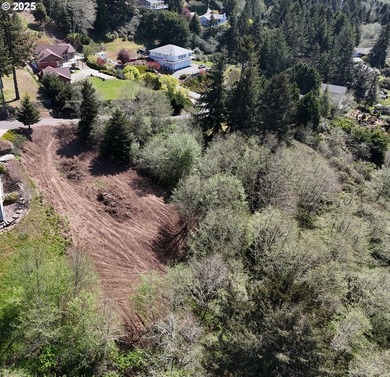 Possible Owner Carry.Welcome to this 1.66-acre lot. A blank - photo 10