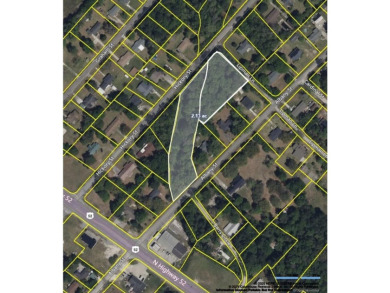 Lake Moultrie Acreage For Sale in Saint Stephen South Carolina