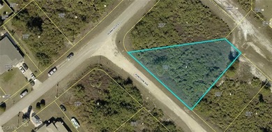 Lehigh Acres Area Lot For Sale in Lehigh Acres Florida