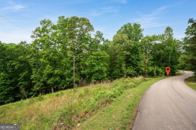 Lake Lot For Sale in Gainesville, Georgia